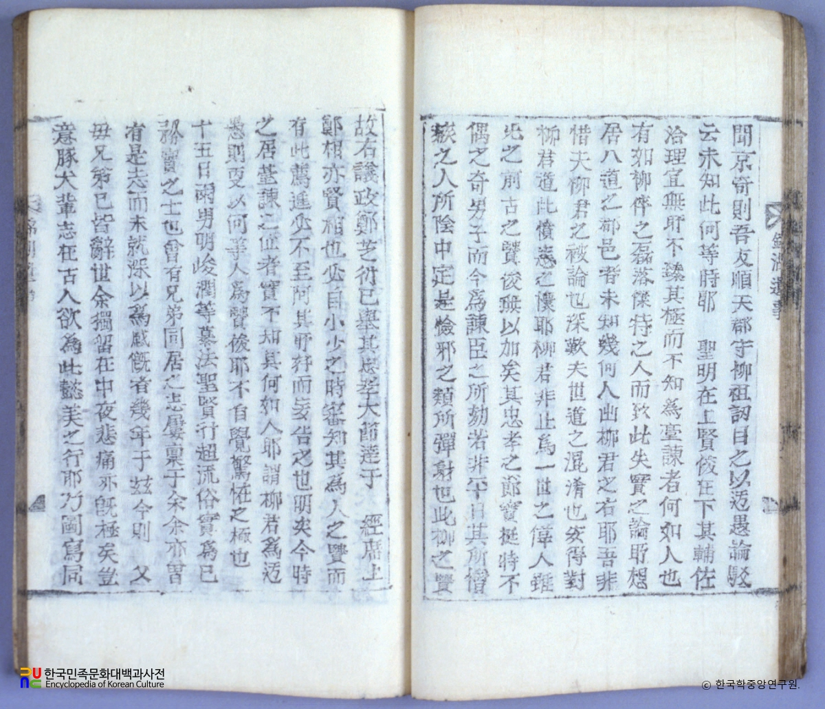 나사침의 금호유사 중 본문