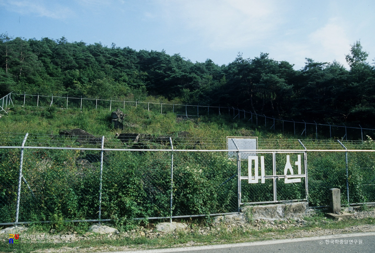 괴산 송덕리 미선나무 자생지