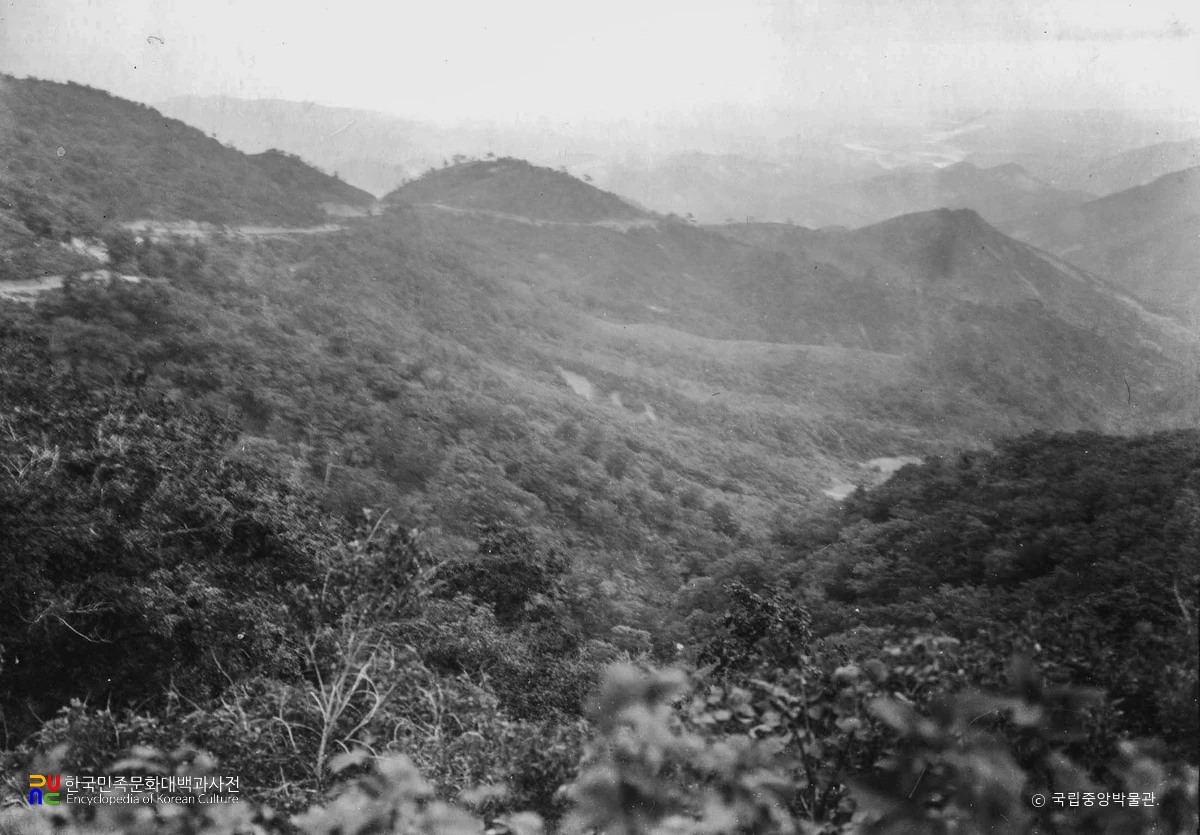 강원 강릉 대관령 옛길