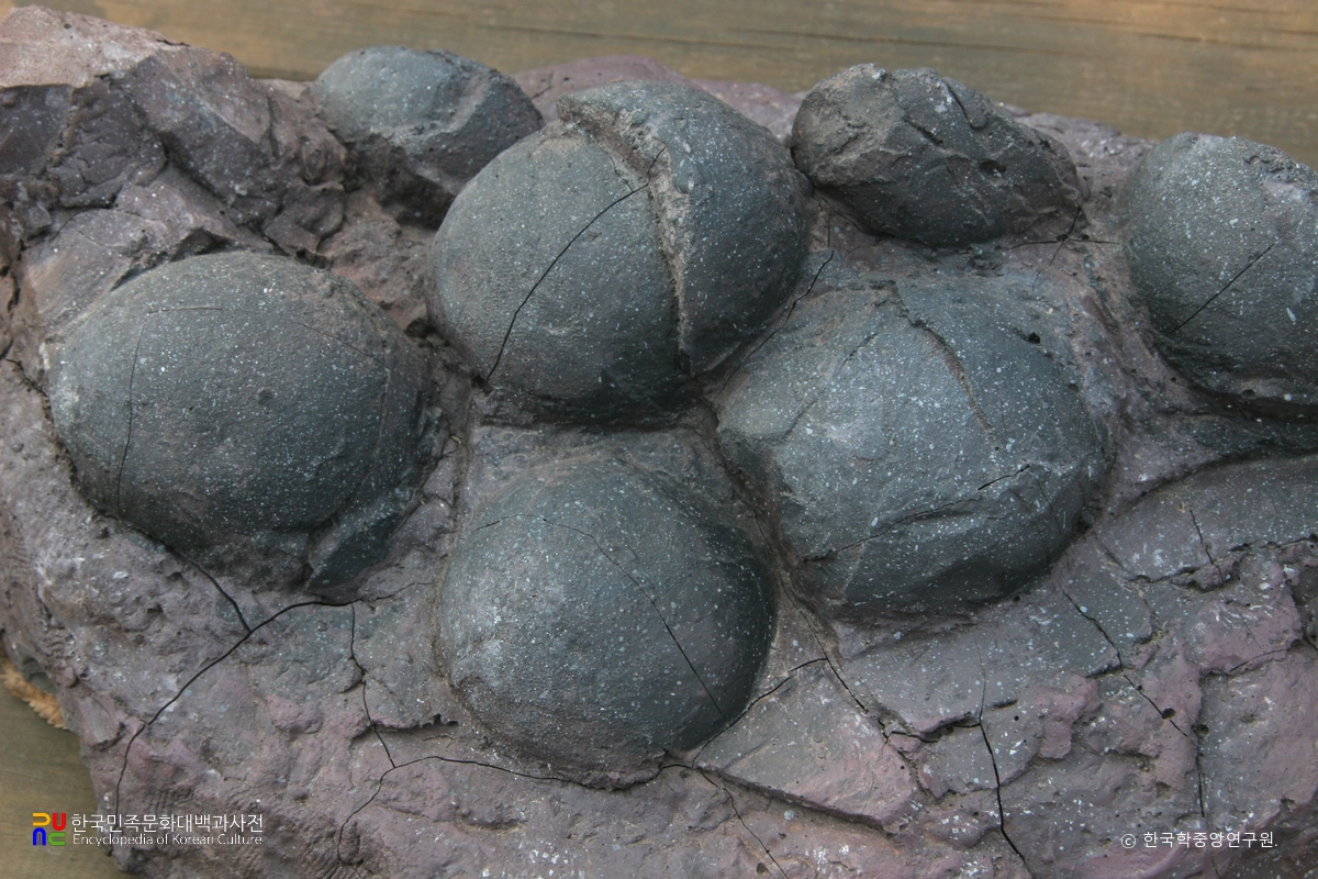 보성 비봉리 공룡알화석 산지