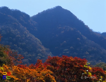 내장산 장군봉