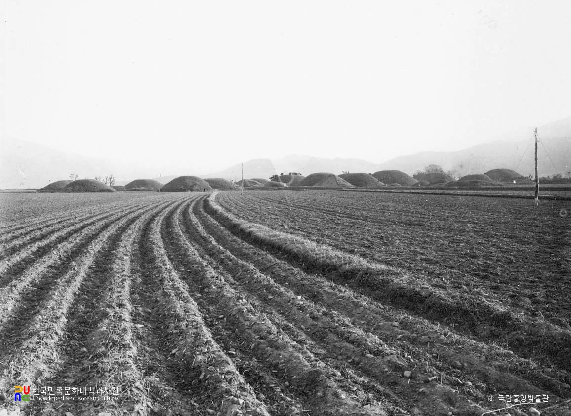 경주 금척리 고분군 전경