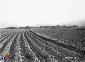 경주 금척리 고분군 전경