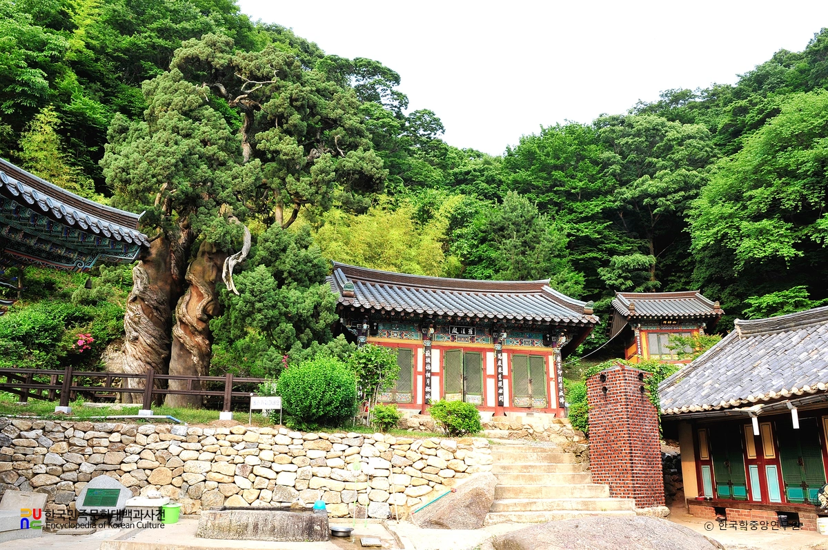 순천 천자암 경내 전경