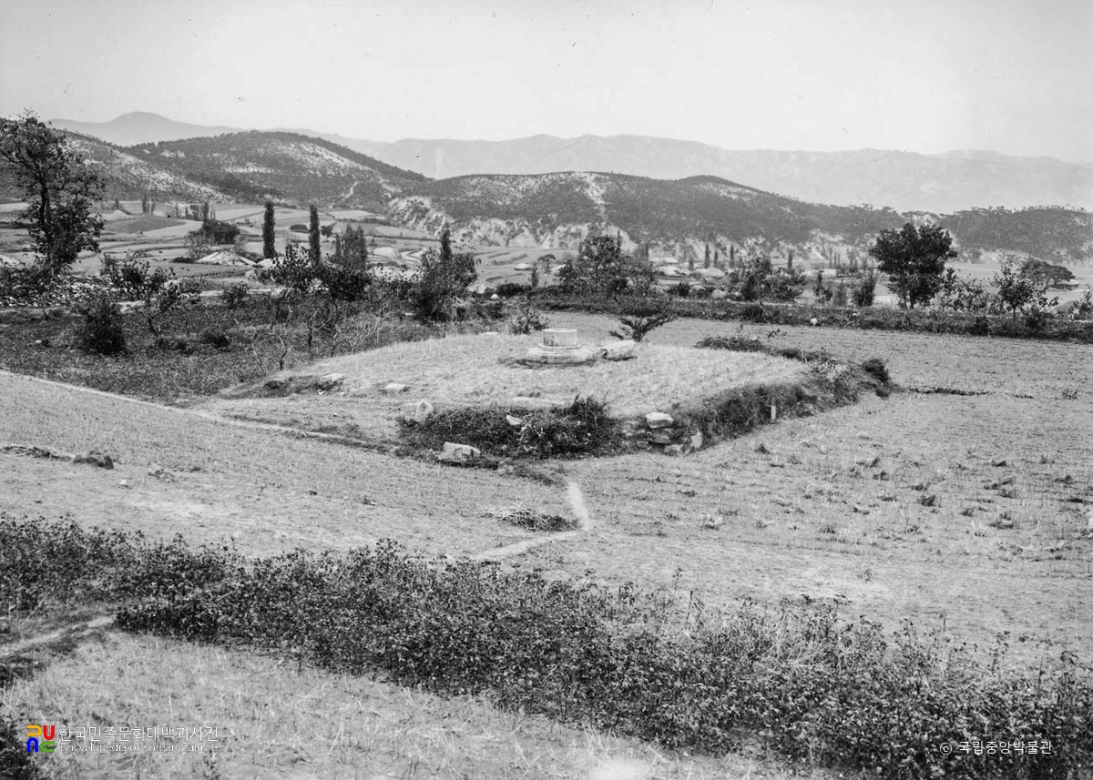 포항 법광사지 금당지 전경