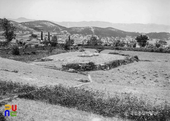 포항 법광사지 금당지 전경