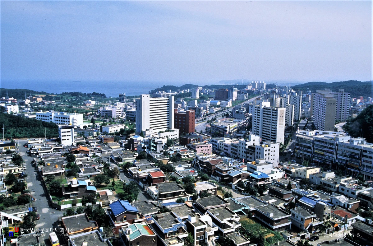 동해시 전경