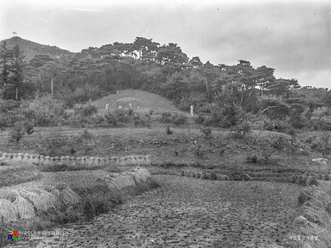 개풍 고려 신성왕후 정릉 전경