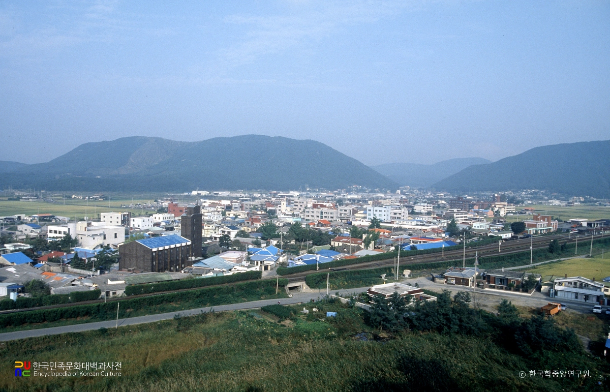 웅천읍 전경