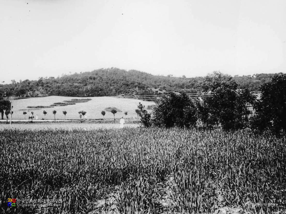 영흥 현도 유적 전경