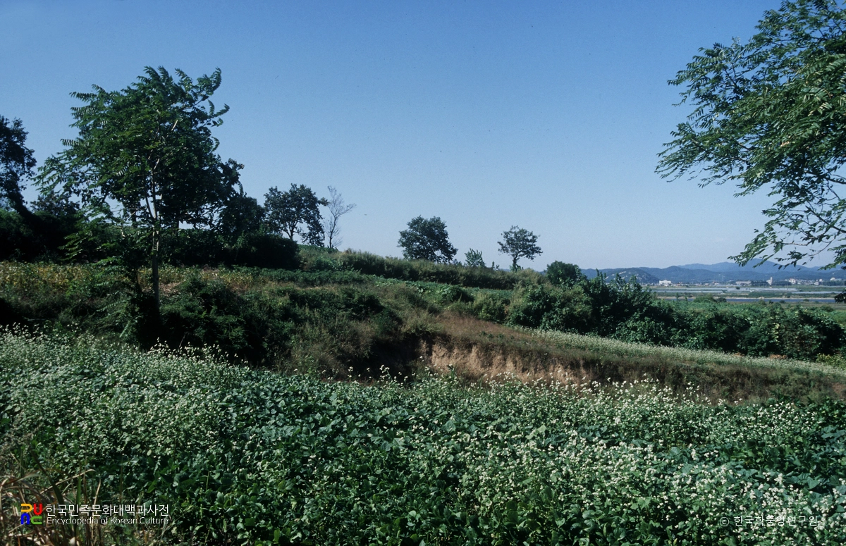 부여 정암리 와요지 전경