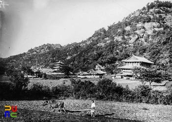 보은 법주사 전경