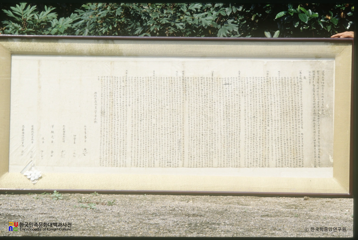 손소선생 분재기