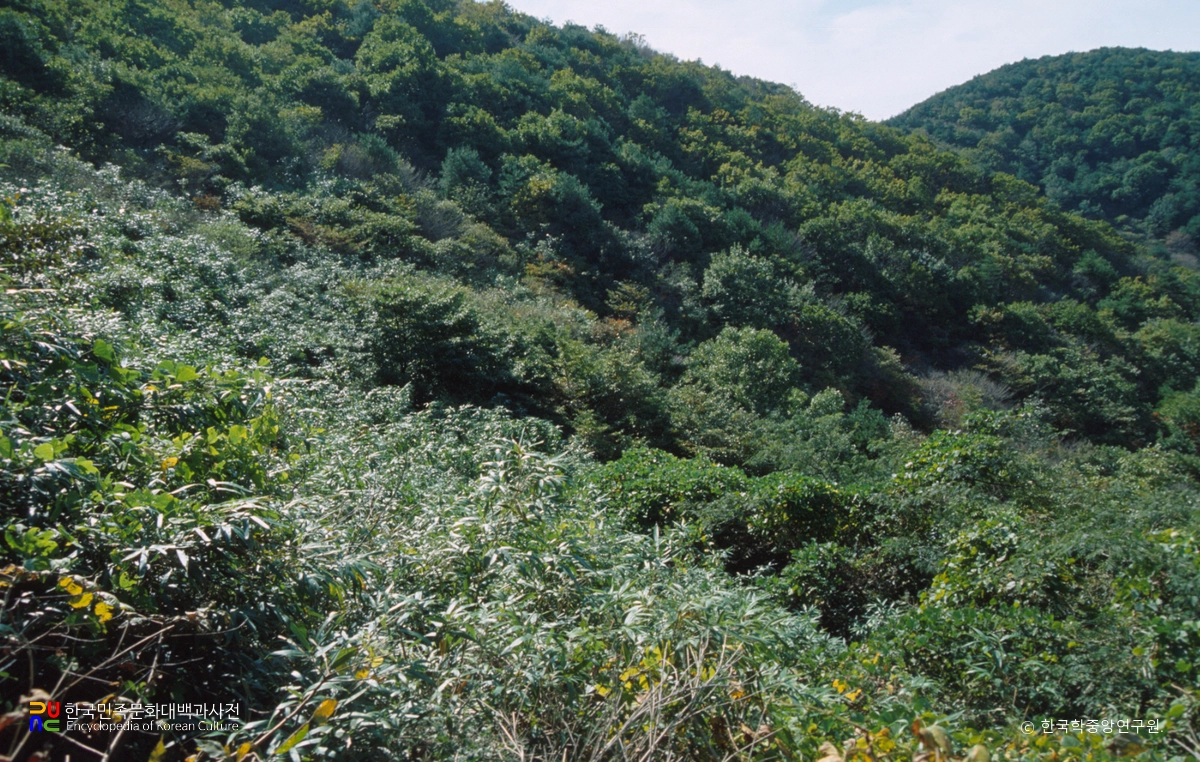 이명산 석불사지