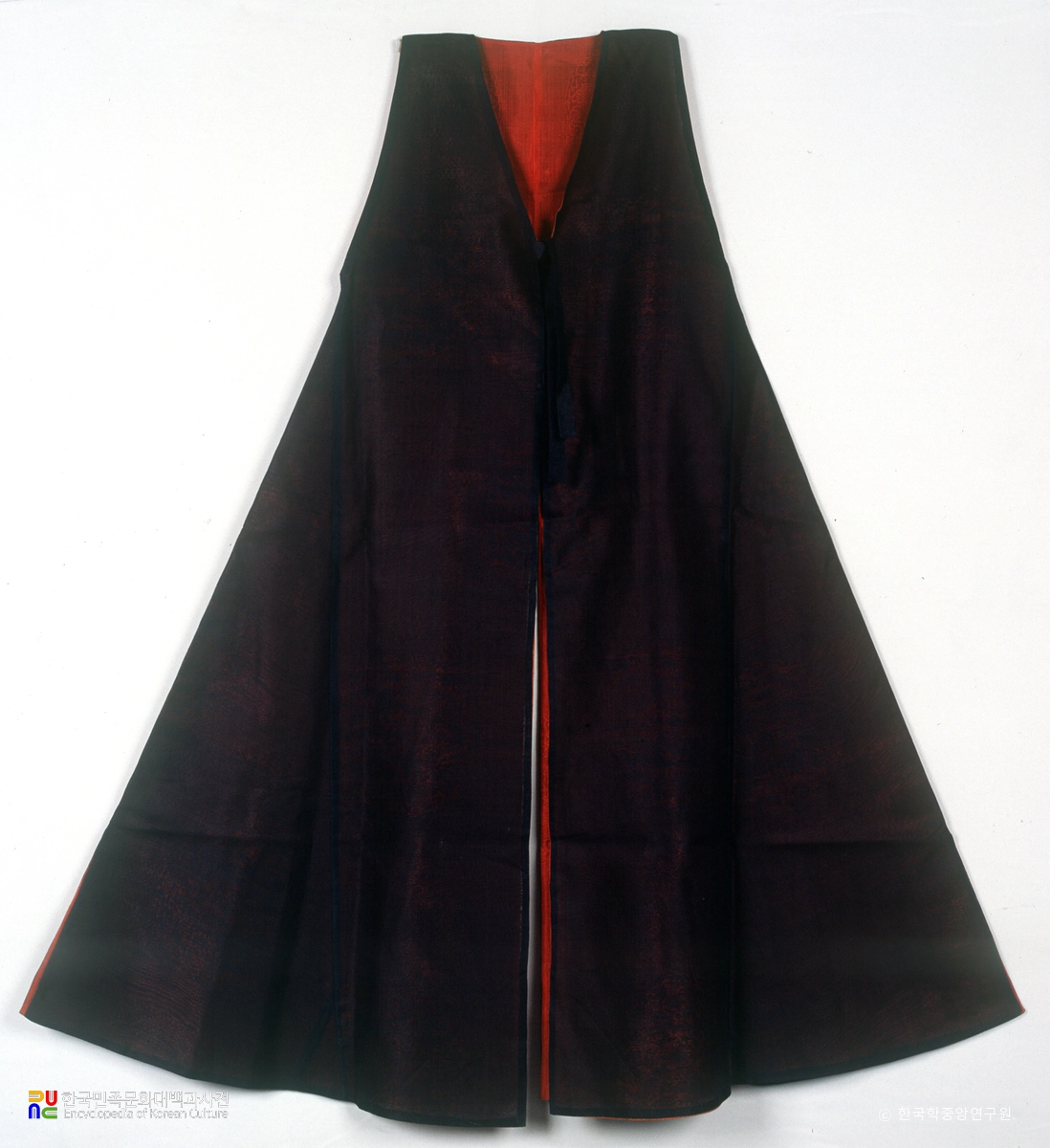 경산 정원용 의대 중 전복