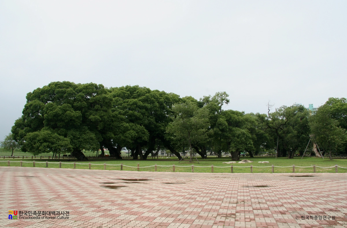 성주 경산리 성밖숲