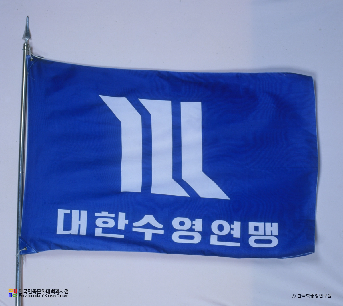 대한수영연맹 기