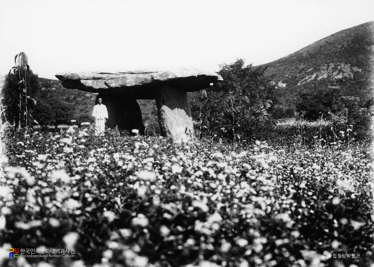 황해도 안악 차신리 지석묘