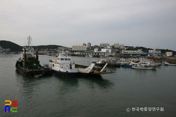 보령 대천항