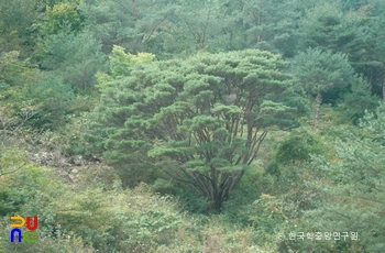 반송