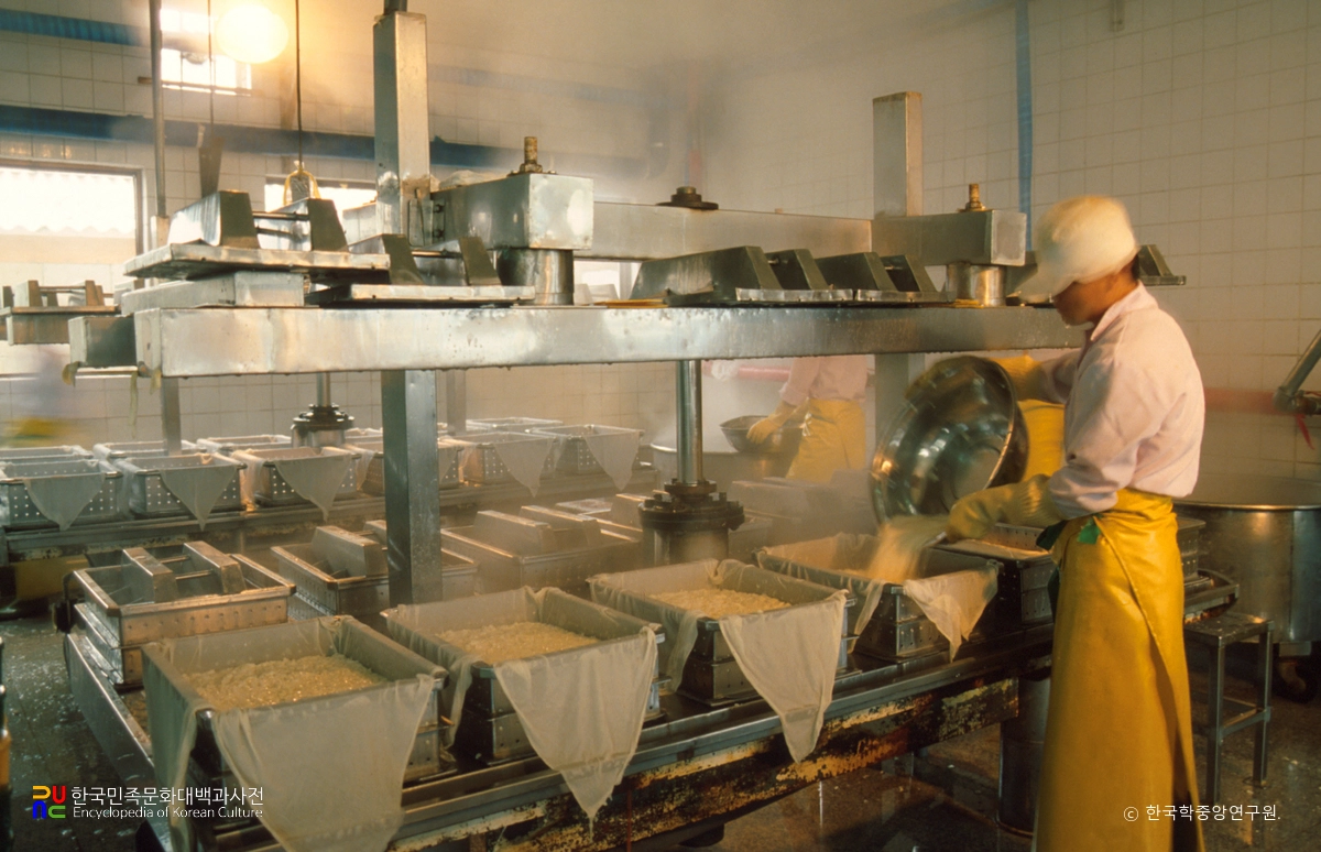 두부 제조 / 성형