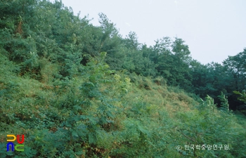 이산성지