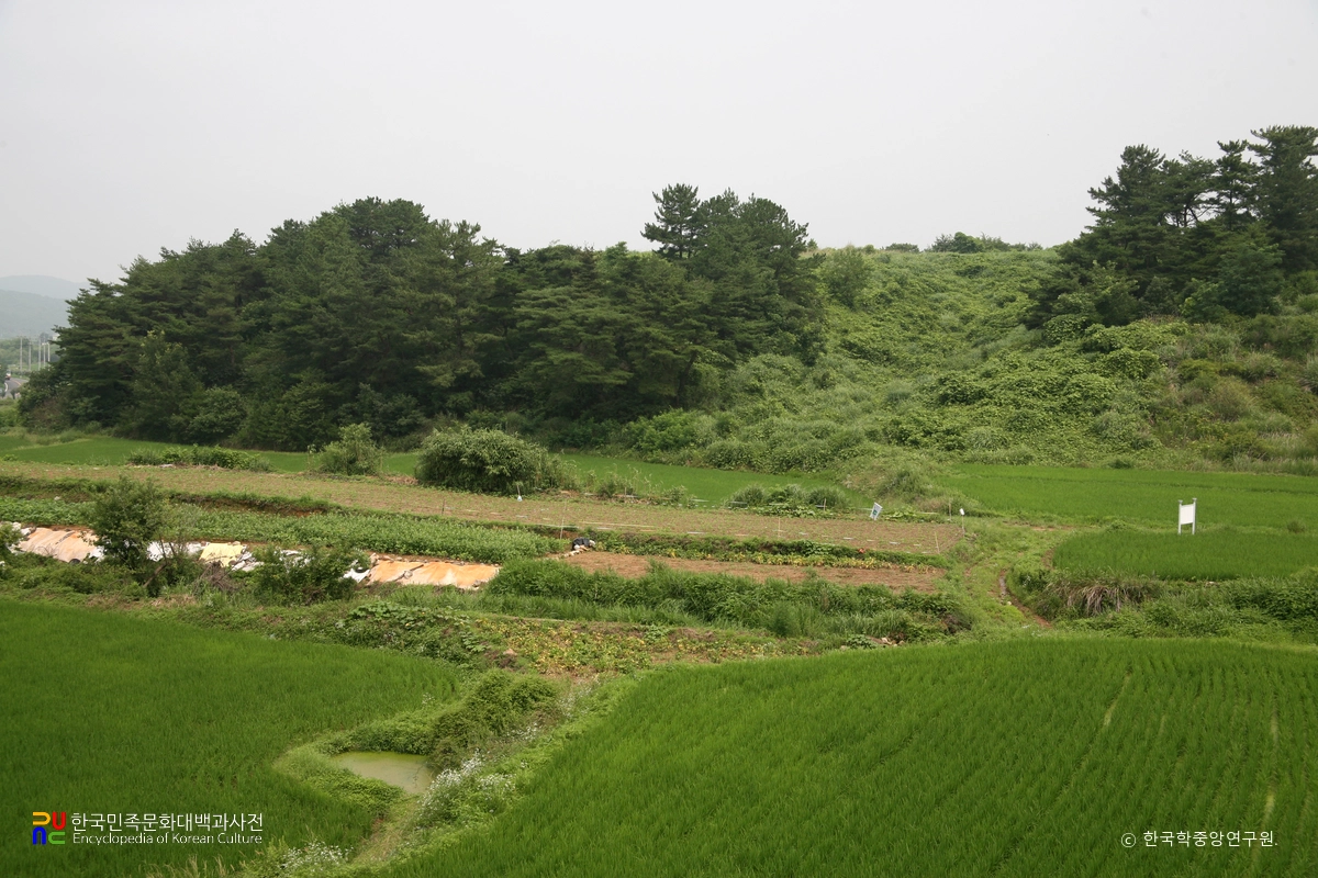 경주 손곡동과 물천리 유적