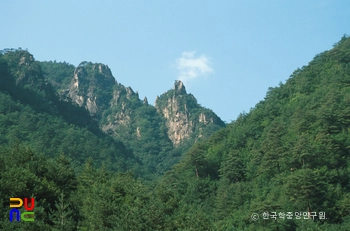 슬롯 머신 구매