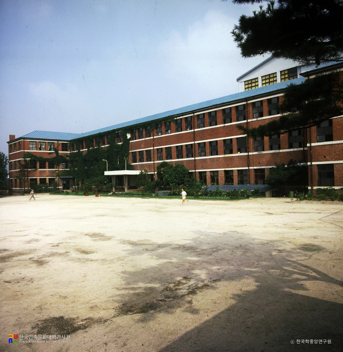 대동세무고등학교