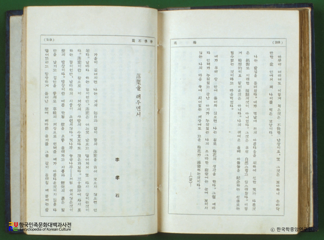 조선문학 및 어학사