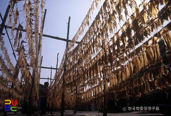 자바 스크립트 슬롯 머신 말리는 모습