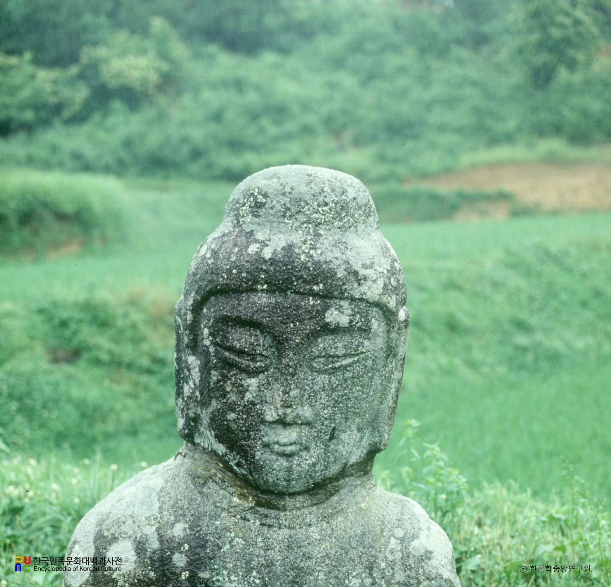 임실 학정리 석불