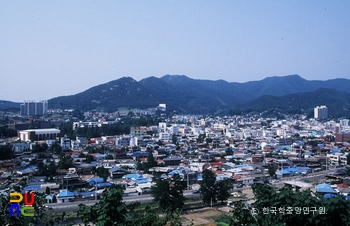 예산읍 전경