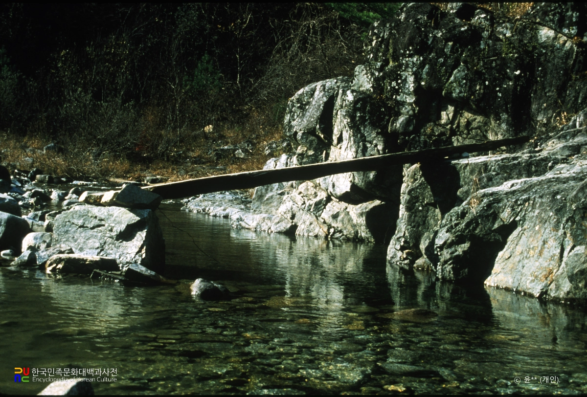 외나무다리