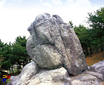 부산 전포동 구상반려암