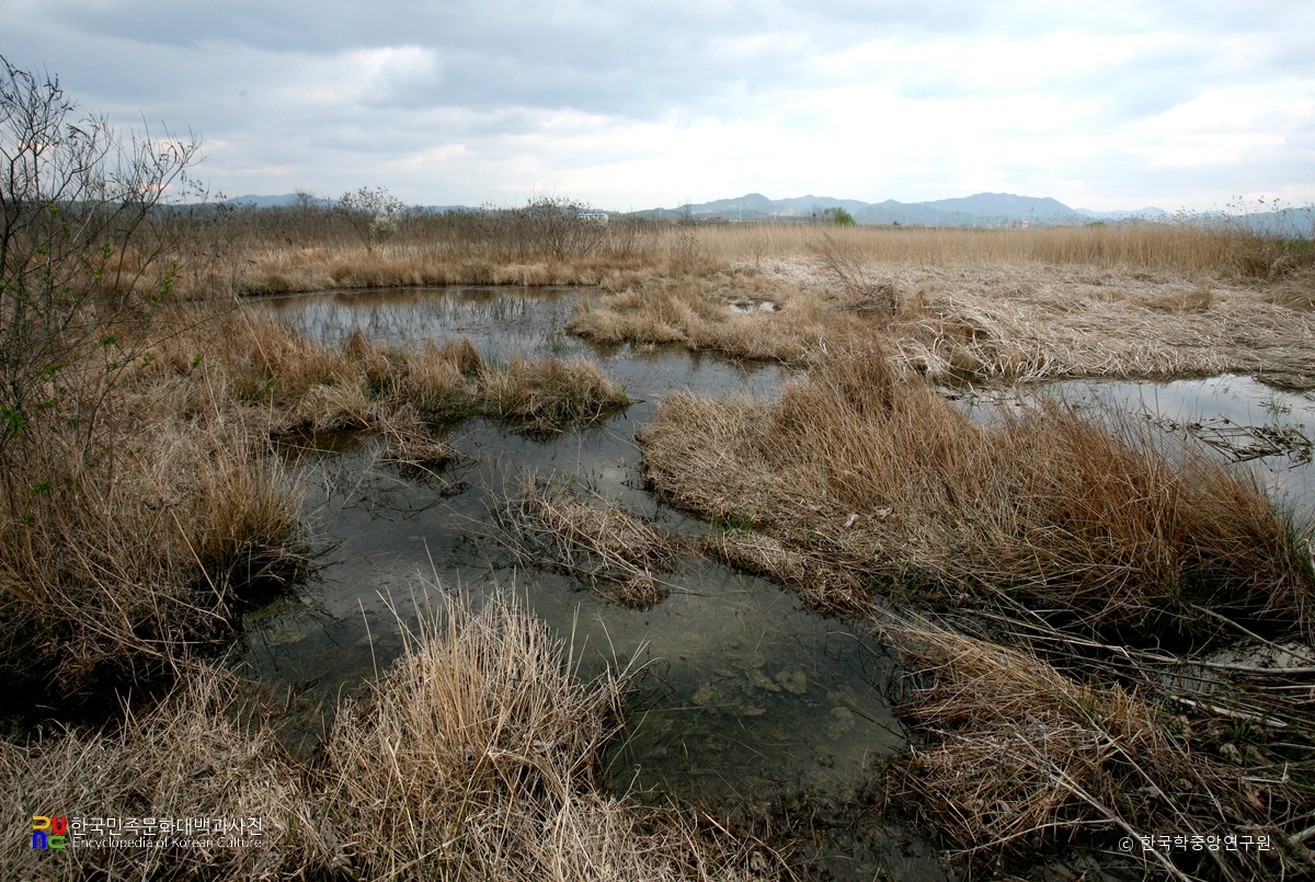 연천 은대리 물거미 서식지