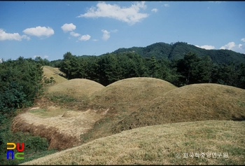 성주 성산동 고분군