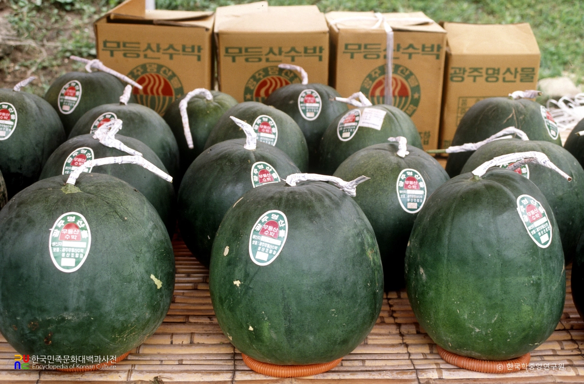 무등산수박