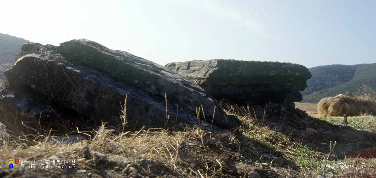 학림리 지석묘
