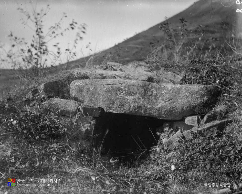 창녕 영산읍 전 신라태자묘 정면
