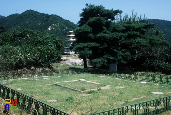 울산 핑크 슬롯 사이트