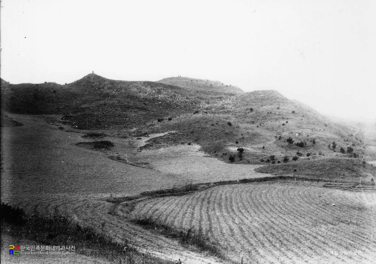 안변 세포동산성 전경