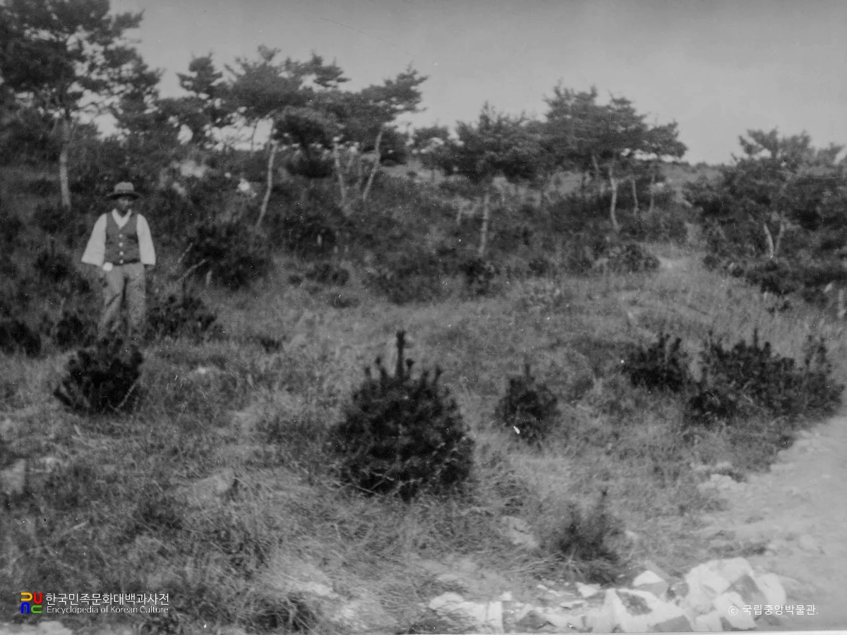 여주 매룡리 고분군 중 152호분 전경