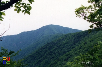 청옥산