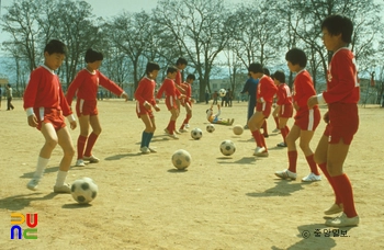 천안국민학교 / 특별활동 수업