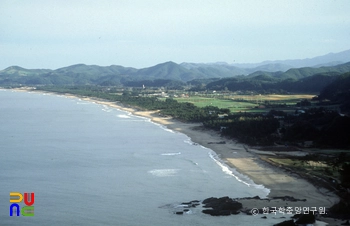 해안 슬롯 잭팟