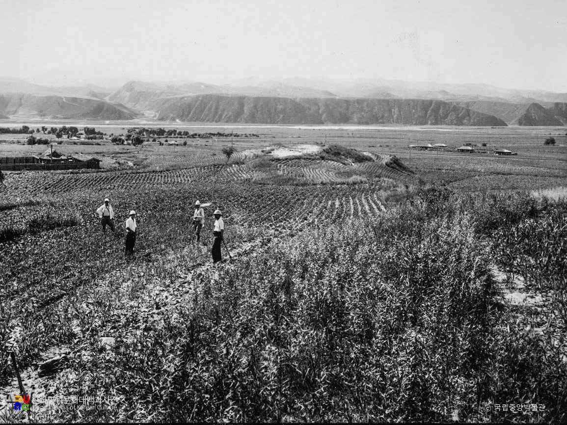함북 종성 동관진 석기시대 분묘군 유적 전경