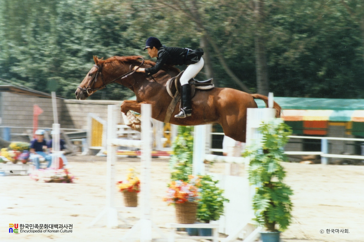 마술 / 장애물 비월