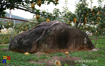 울주 지내리 지석묘 전경