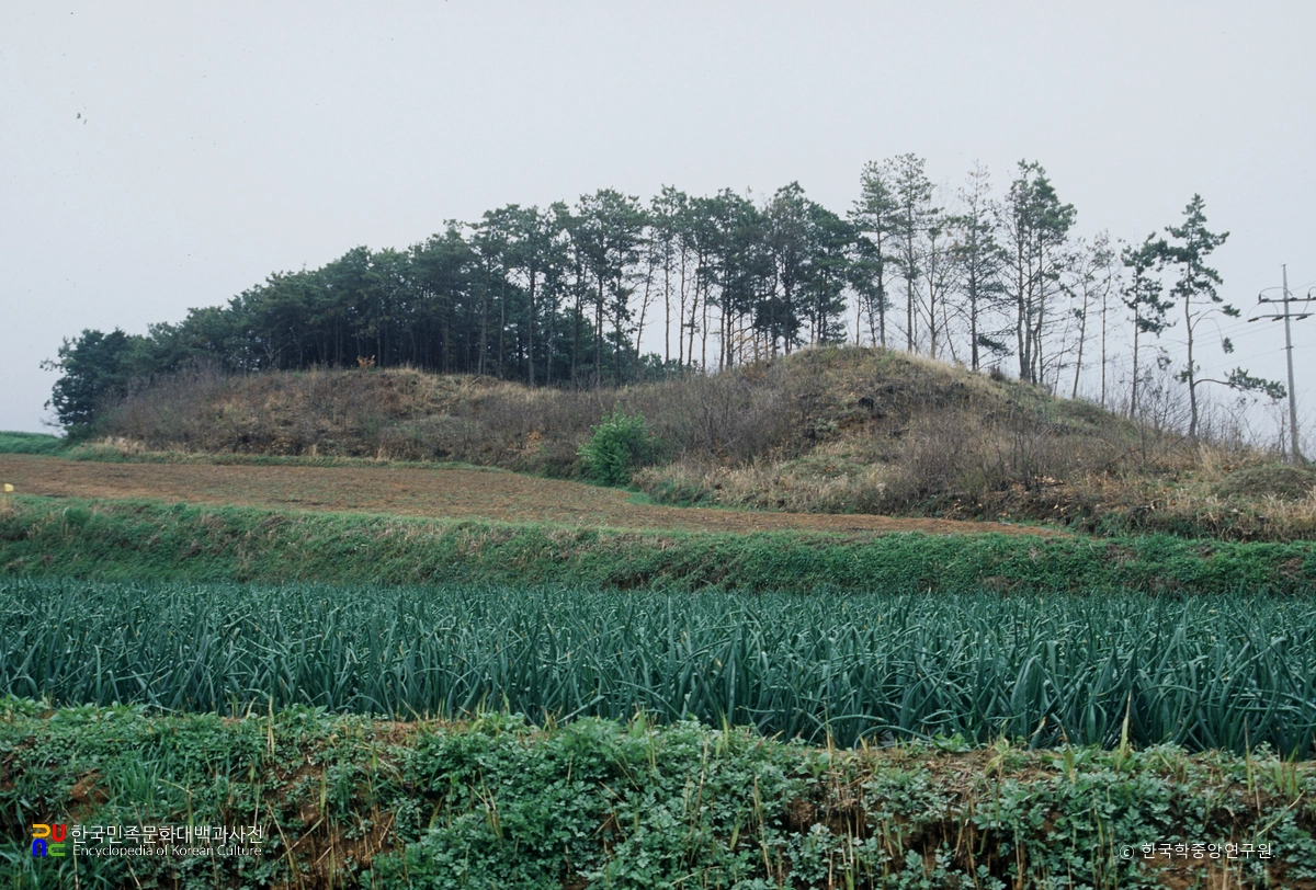 함평 죽암리 고분